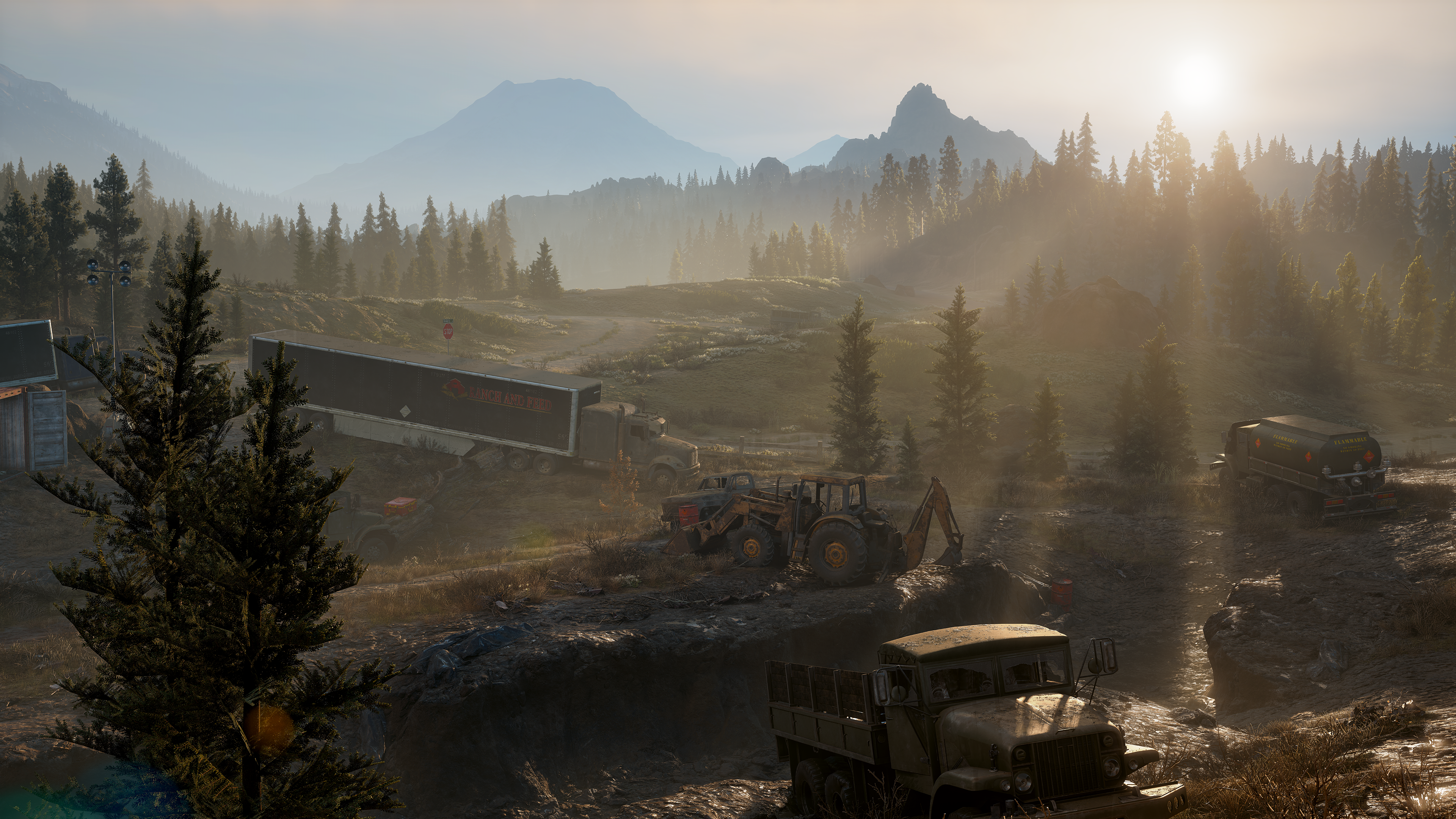 Days Gone, PC