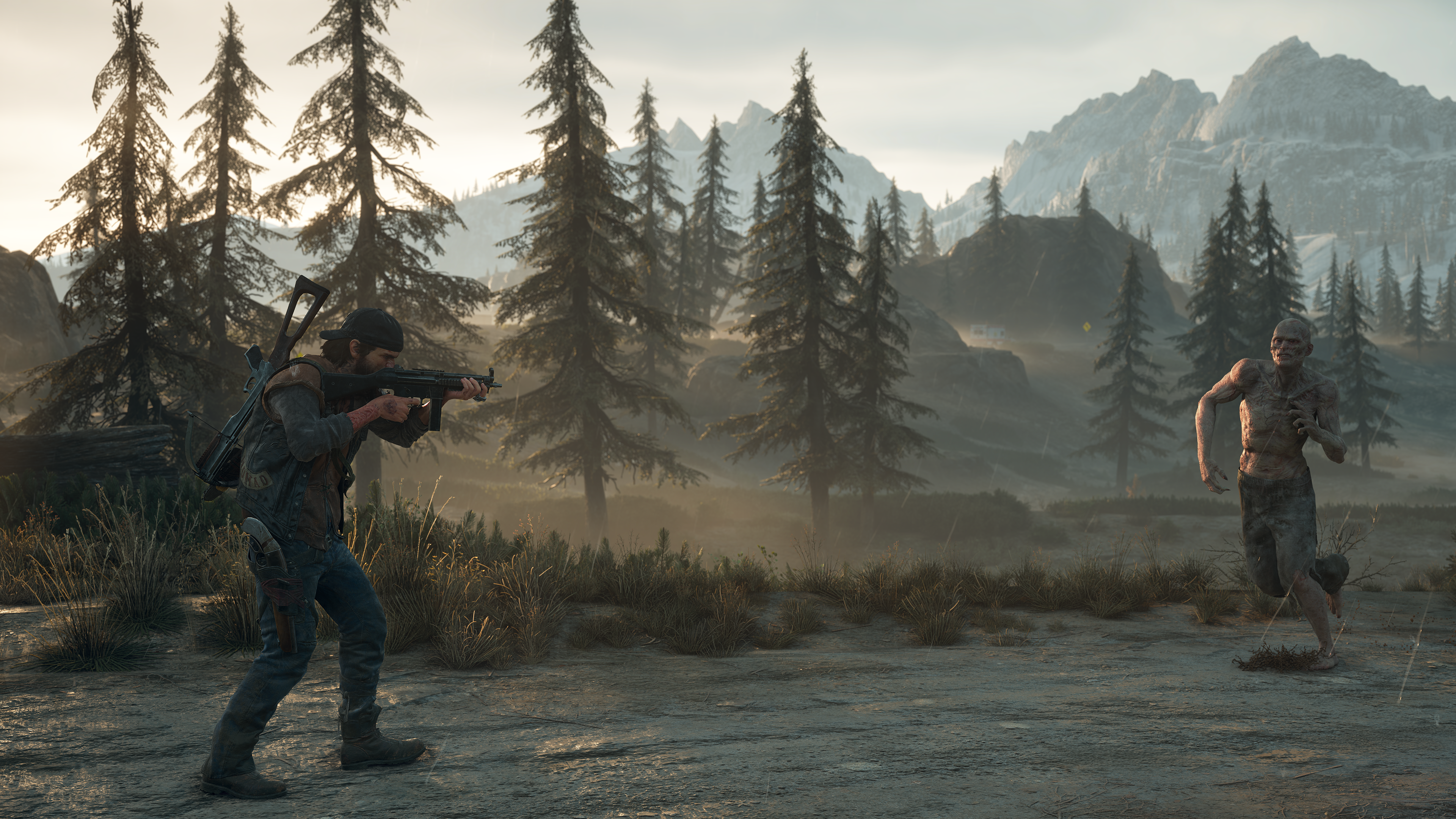  Days Gone : Video Games